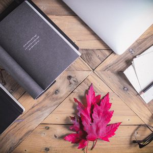 Ultimate Numerology Report