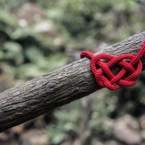 Relationship Profile - Numerology Report