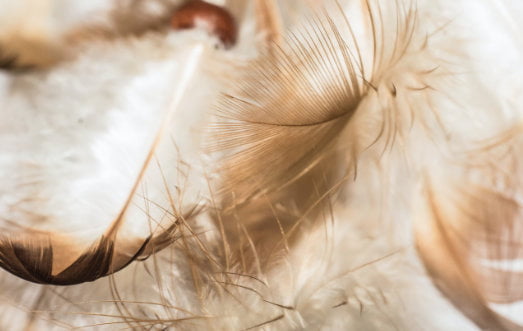 connecting-with-loved-one